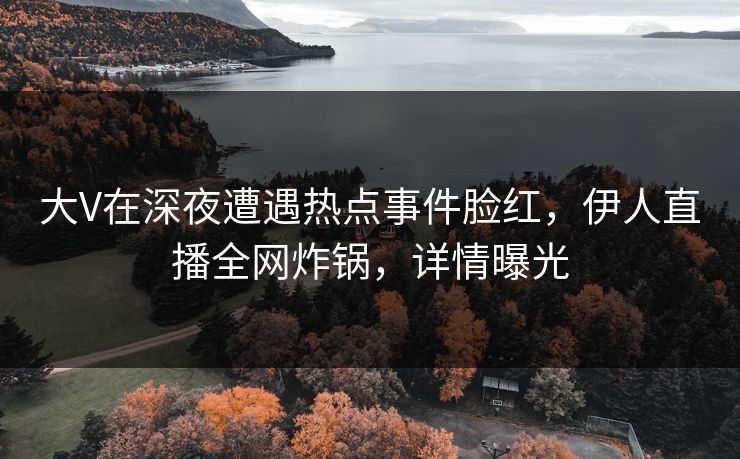 大V在深夜遭遇热点事件脸红，伊人直播全网炸锅，详情曝光