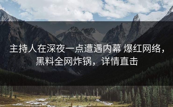 主持人在深夜一点遭遇内幕 爆红网络，黑料全网炸锅，详情直击