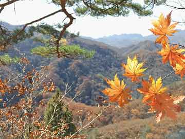 伊人直播盘点：丑闻3种类型，神秘人上榜理由罕见令人情绪失控
